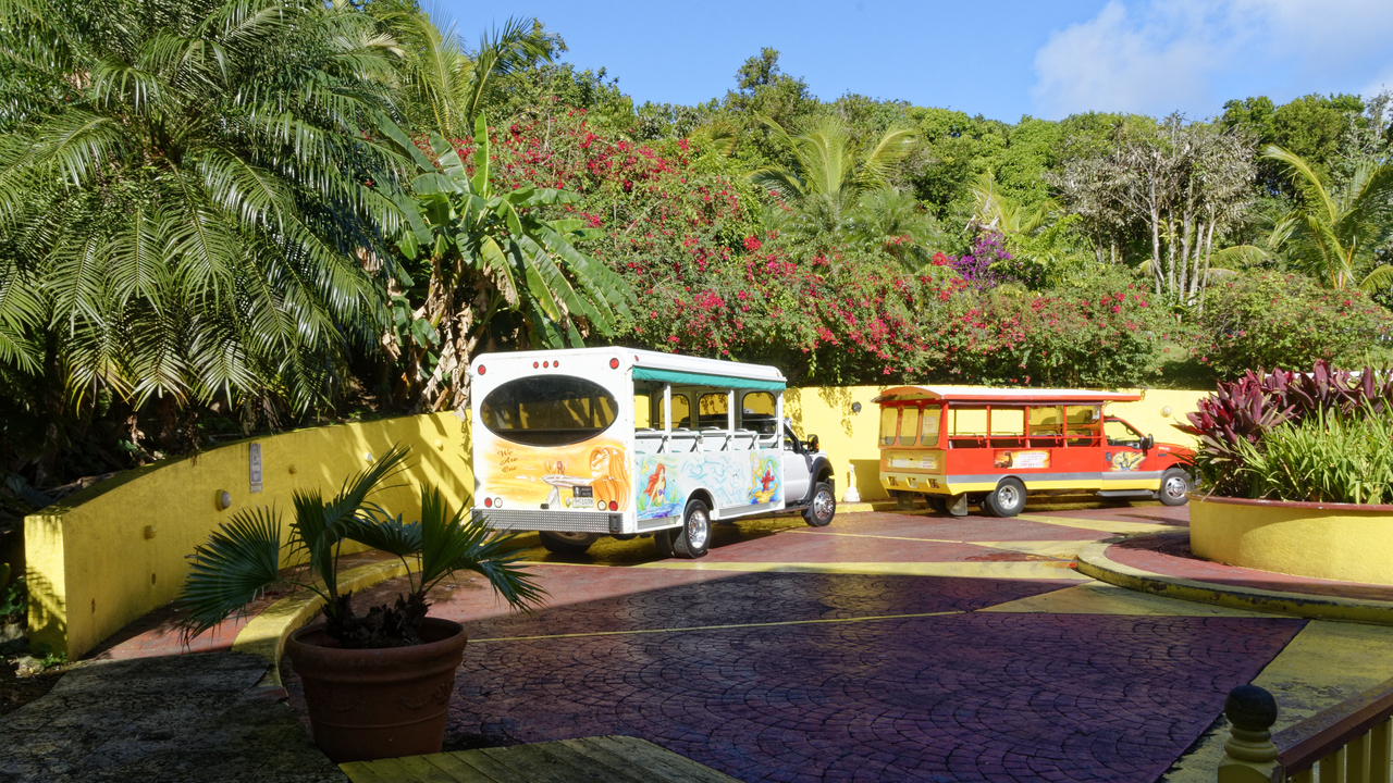 20170214 092314•Charlotte Amalie•Saint Thomas Island•U.S. Virgin Islands